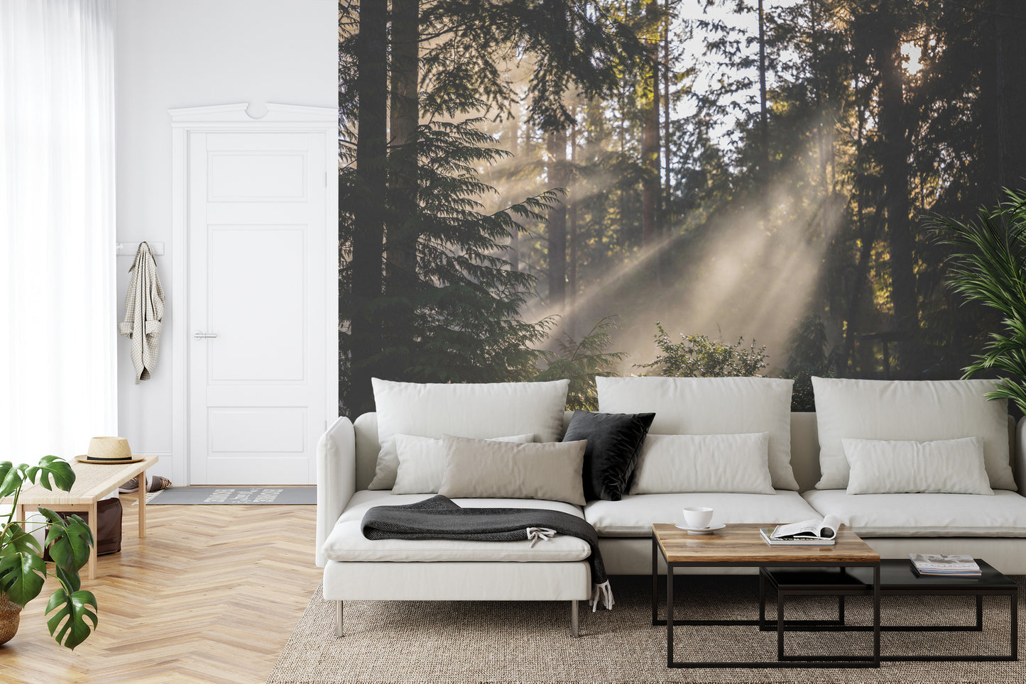 Fototapete Nebliger Wald