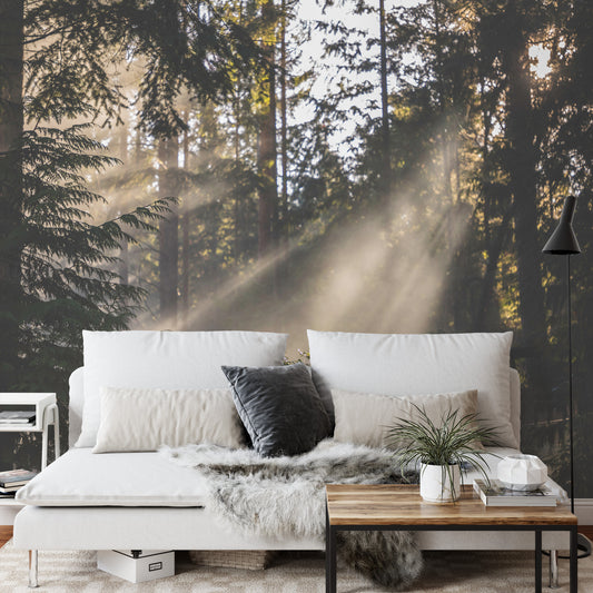 Fototapete Nebliger Wald