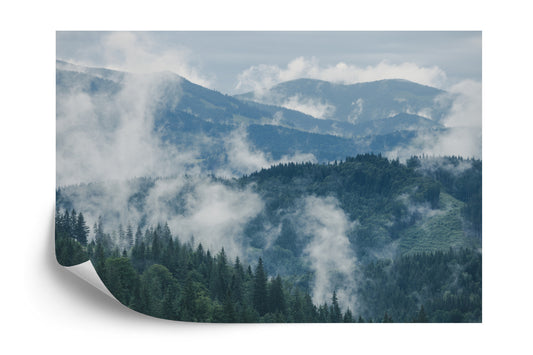 Fototapete Wald Im Nebel