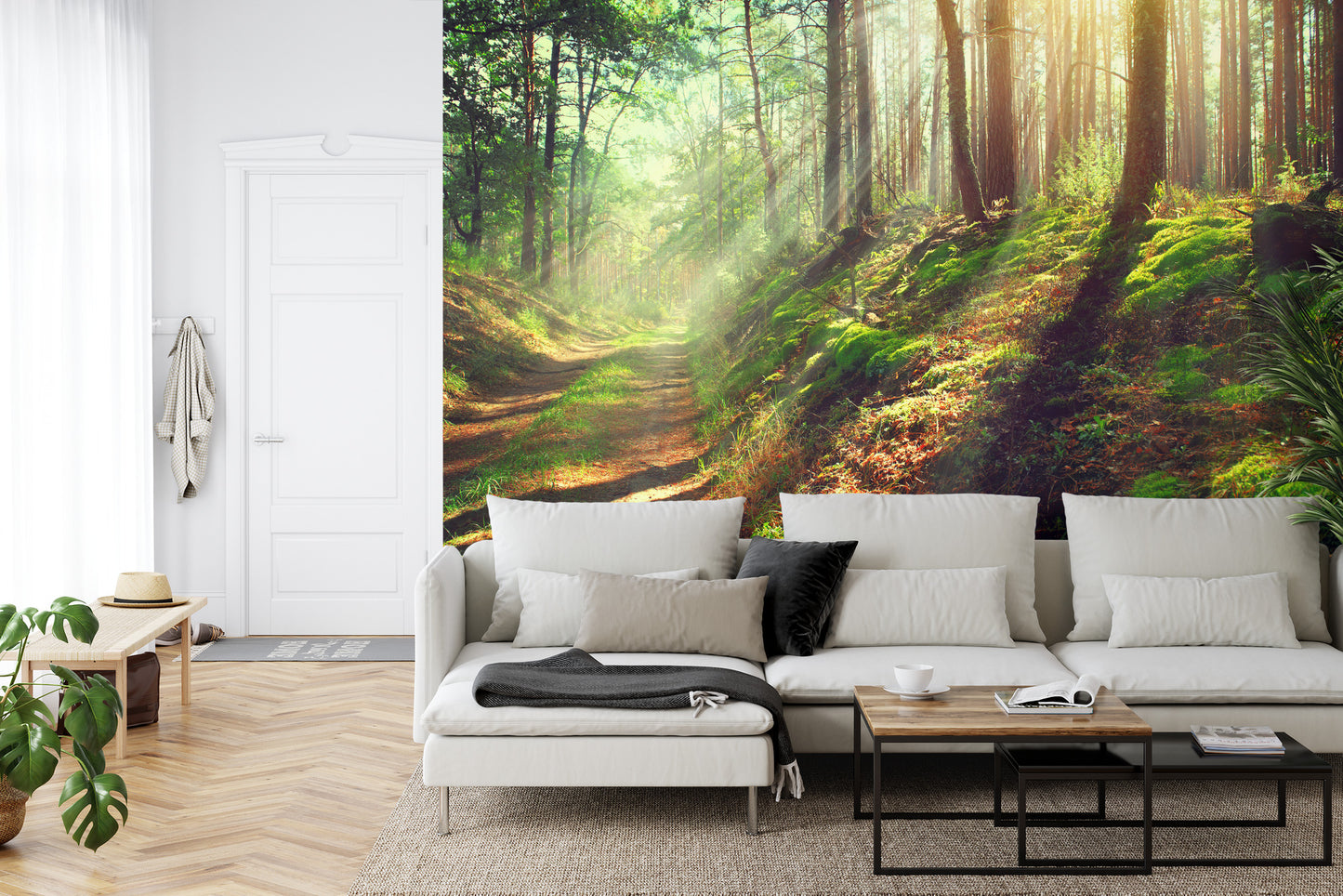 Fototapete Wald Natur