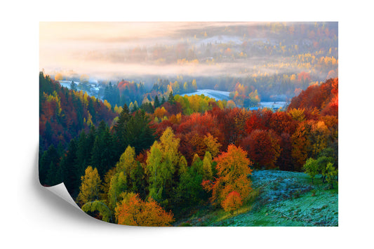 Fototapete Wald Im Nebel