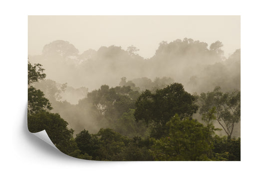 Fototapete Wald Im Nebel