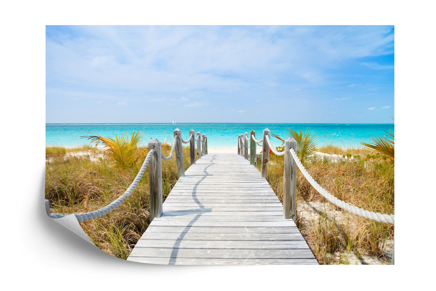 Fototapete Pfad An Einem Karibischen Strand