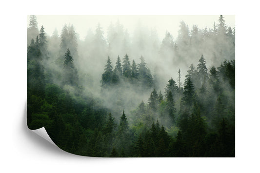 Fototapete Wald Im Nebel