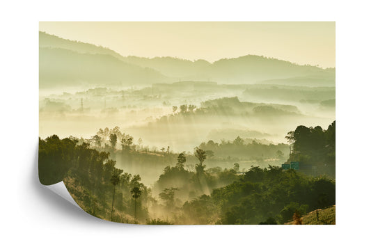 Fototapete Wald Im Nebel