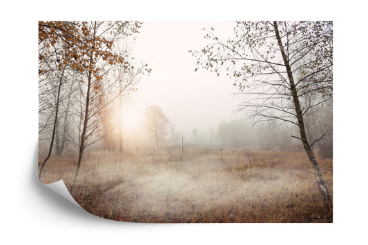 Fototapete Wald Im Nebel