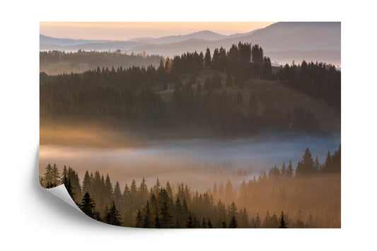Fototapete Wald Im Nebel