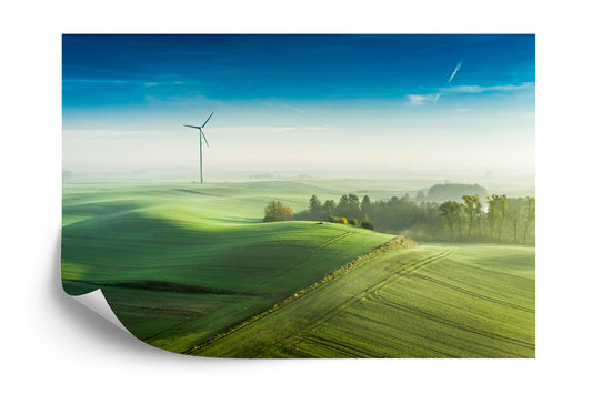Fototapete Luftaufnahme Einer Grünen Wiese 3D