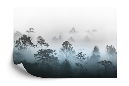 Fototapete Wald Im Nebel
