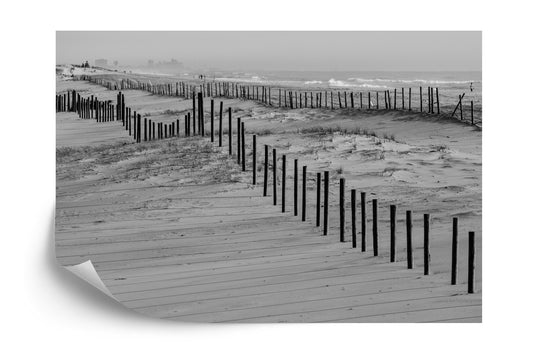 Fototapete Strand Seedüne