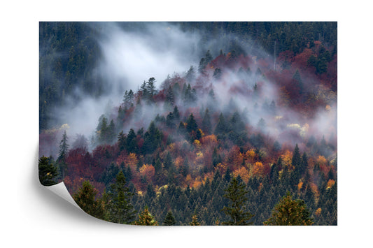 Fototapete Herbstwald Im Schönen Nebel