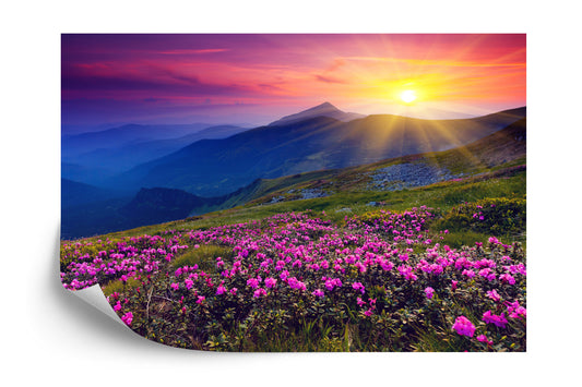 Fototapete Land Blumen