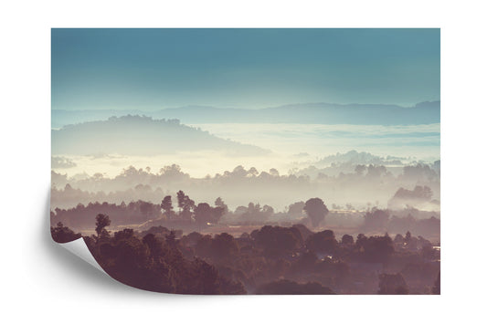 Fototapete Wald Im Nebel