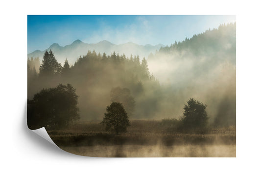 Fototapete Wald Im Nebel
