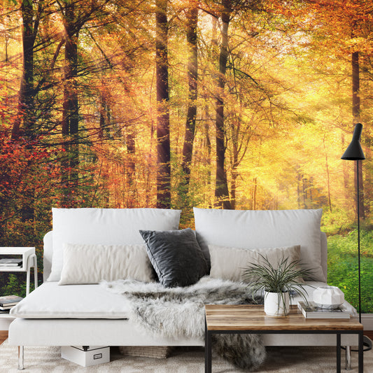 Fototapete Wald Herbstfarben