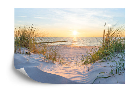 Fototapete Strand Dünenmeer