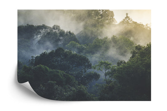 Fototapete Landscape Of Asia Tropical Rainforest, Canopy Tree Of Jungle Green Forest Park Outdoor, Nature Environment Mountain View, Concept Of Freedom Relaxation In Holiday For Spa Yoga And Retreat