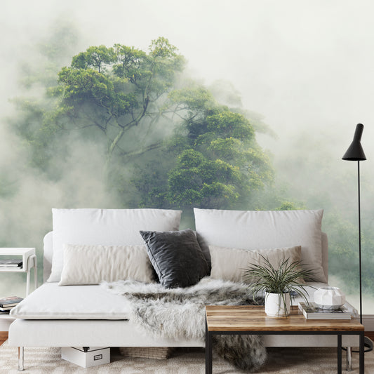 Fototapete Tropical Forest In Japan, Nature Jungle With Green Tree And Fog, Concept Of Zin Therapy Comfortable Freedom Relaxing For Spa And Yoga, Eco Natural Sustainable Conservation