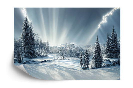 Fototapete Beautiful Winter Landscape. Majestic White Spruces Glowing By Sunlight. Picturesque And Gorgeous Wintry Scene.
