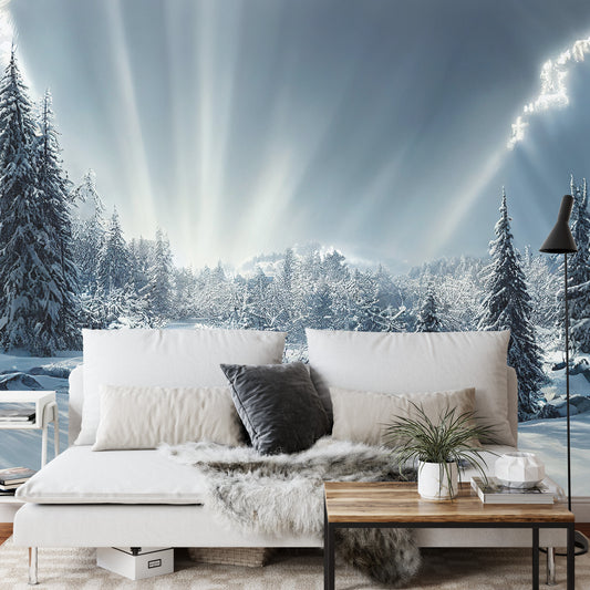 Fototapete Beautiful Winter Landscape. Majestic White Spruces Glowing By Sunlight. Picturesque And Gorgeous Wintry Scene.