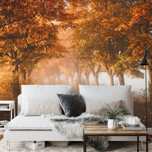 Fototapete Autumn Forest Road Leaves Fall In Ground Landscape . Colorful Foliage In The Park. Falling Leaves. Autumn Trees In The Fog