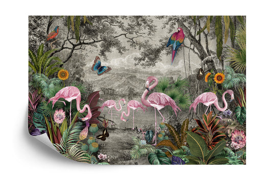 Fototapete Wallpaper Jungle And Tropical Forest Banana Palm And Tropical Birds, Old Drawing