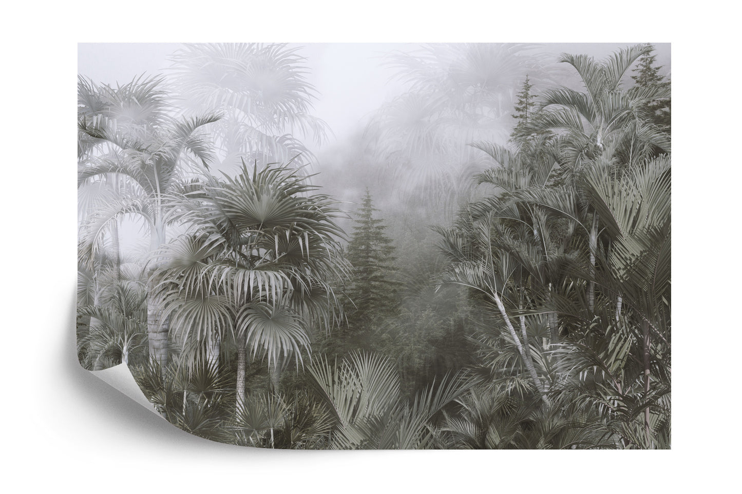 Fototapete Tropical Trees And Leaves For Digital Printing Wallpaper, Custom Design Wallpaper - 3D