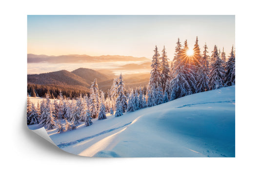 Fototapete Impressive Winter Morning In Carpathian Mountains With Snow Covered Fir Trees. Colorful Outdoor Scene, Happy New Year Celebration Concept. Artistic Style Post Processed Photo.