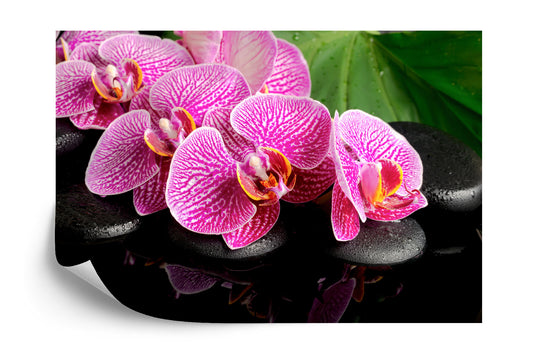 Fototapete Orchidee Spa