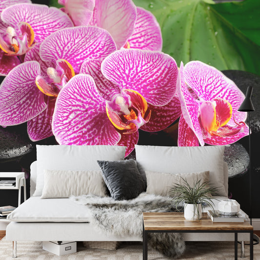 Fototapete Orchidee Spa