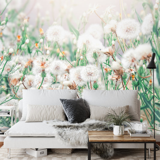 Fototapete Pusteblume