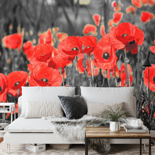 Fototapete Mohnblumen