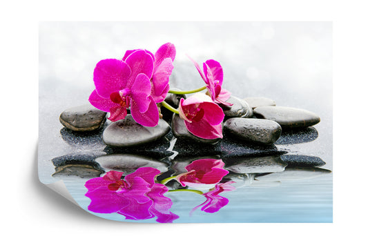 Fototapete Schöne Orchidee Spa