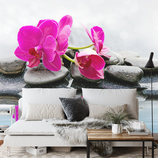 Fototapete Schöne Orchidee Spa
