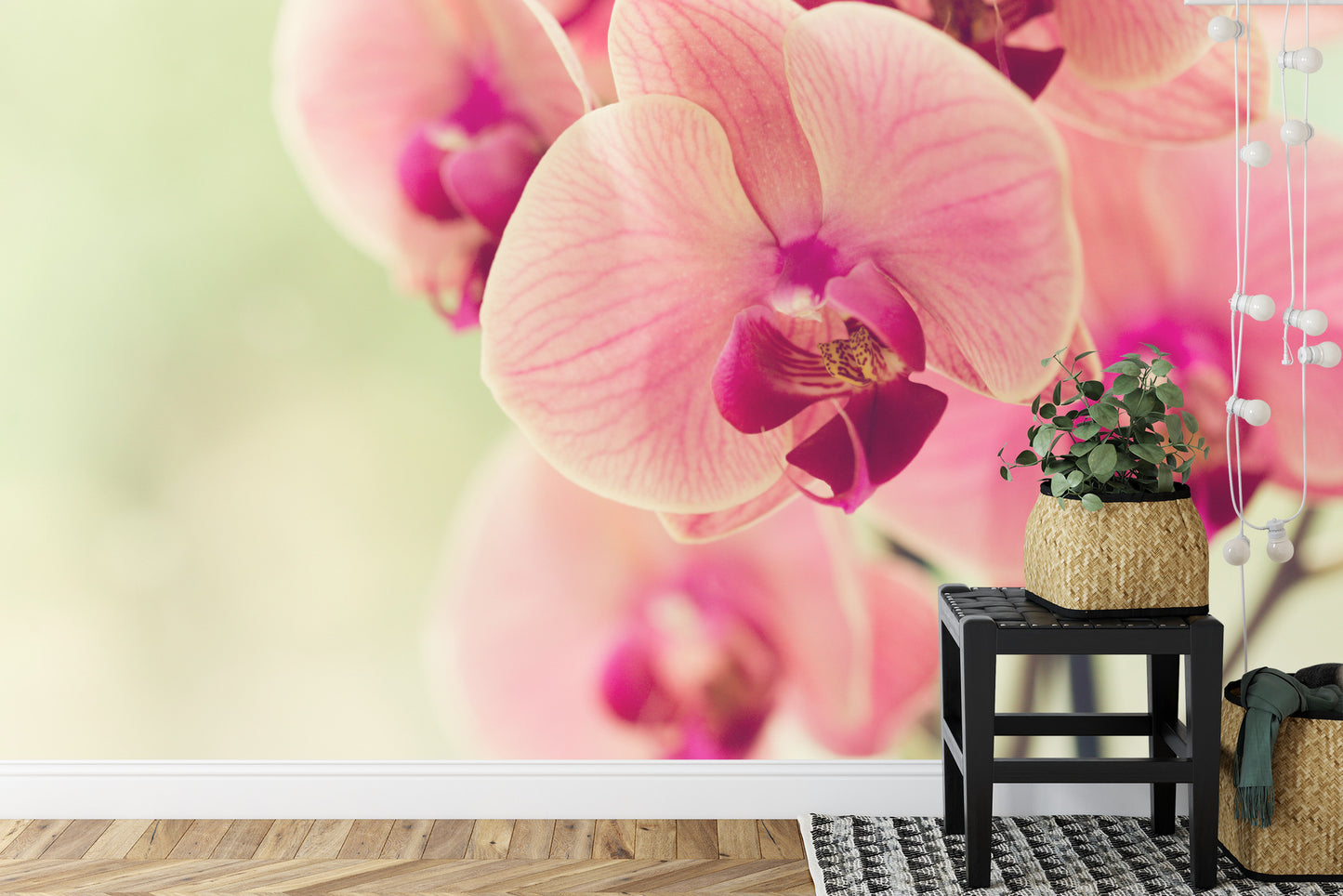 Fototapete Schöne Orchidee