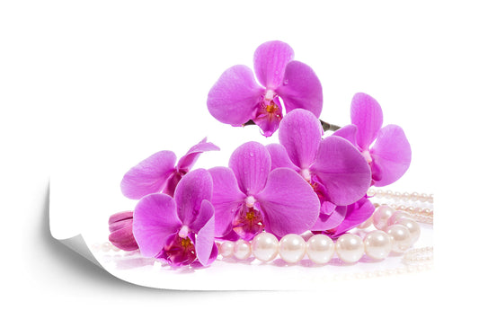 Fototapete Orchideen &amp; Perlen