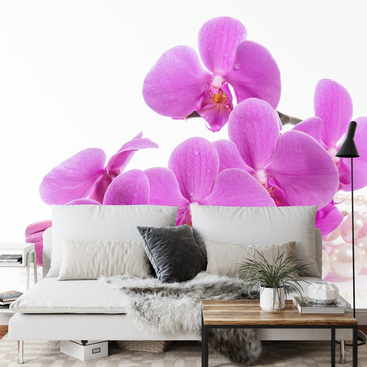 Fototapete Orchideen &amp; Perlen