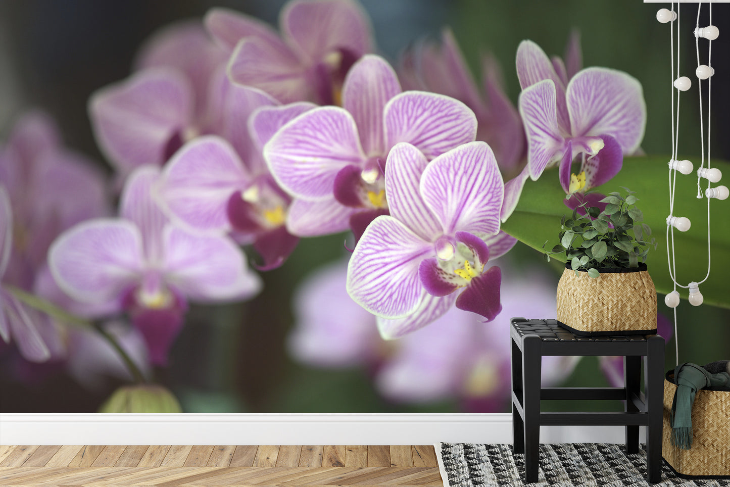 Fototapete Schöne Orchideen