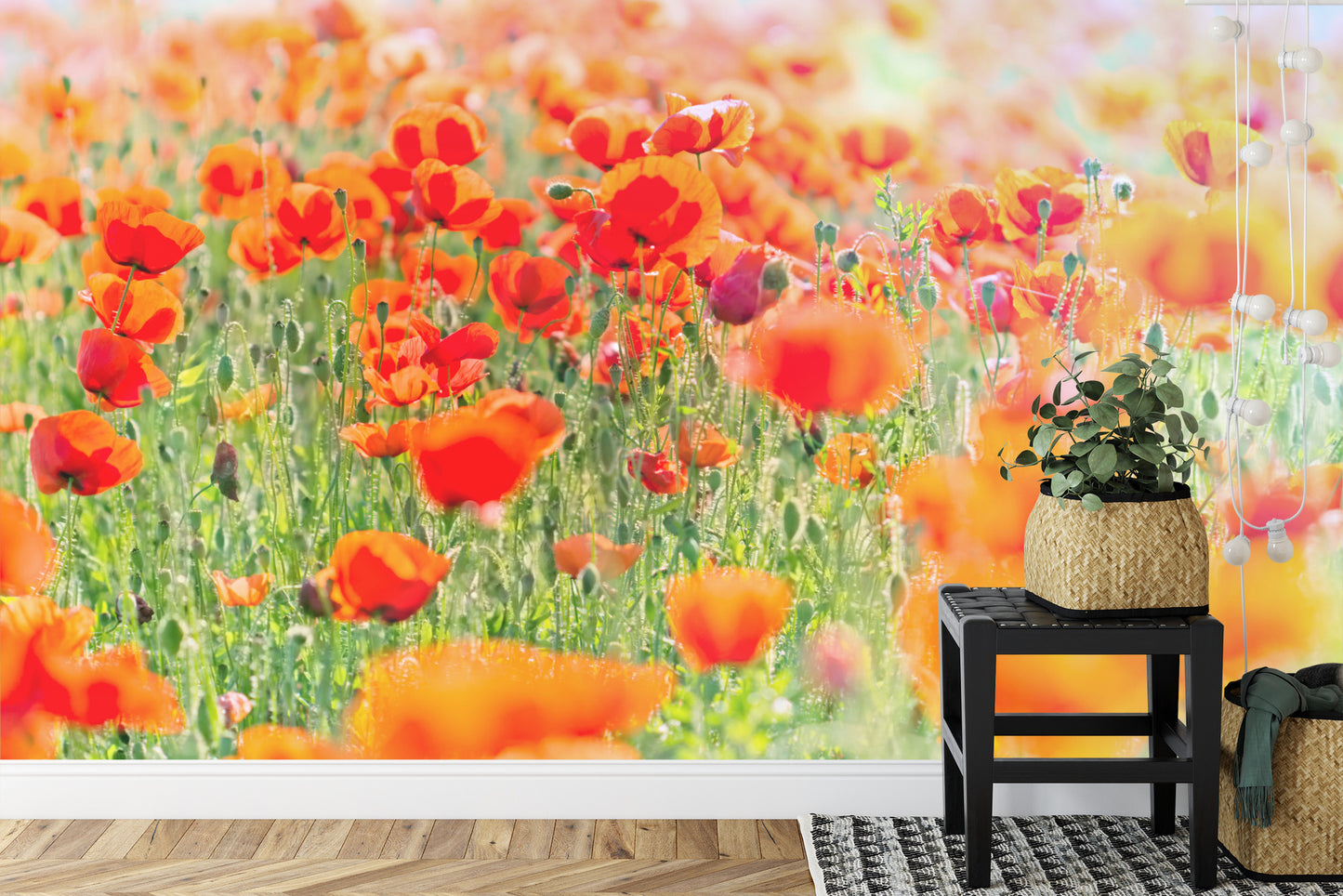 Fototapete Feld Der Roten Mohnblumen