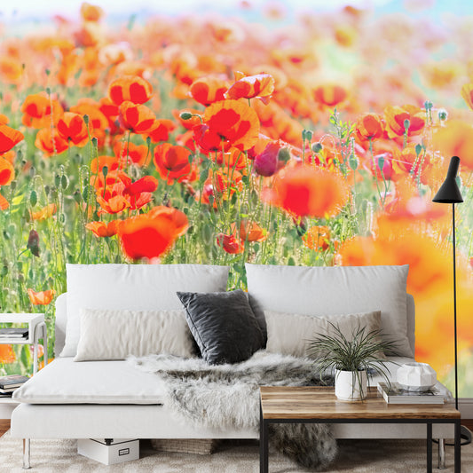 Fototapete Feld Der Roten Mohnblumen