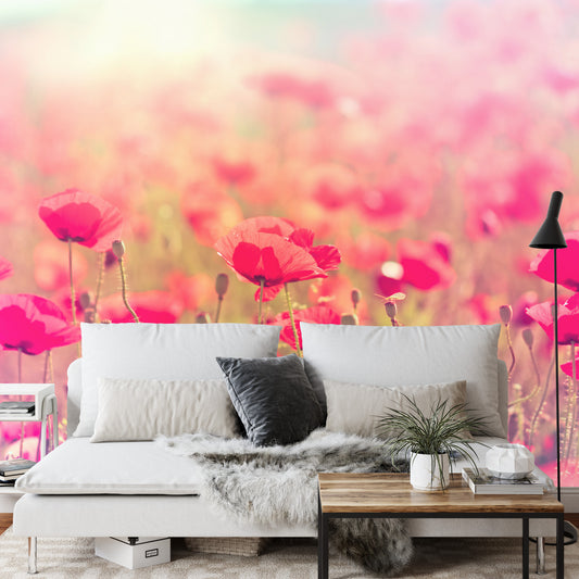 Fototapete Wilde Mohnblumen