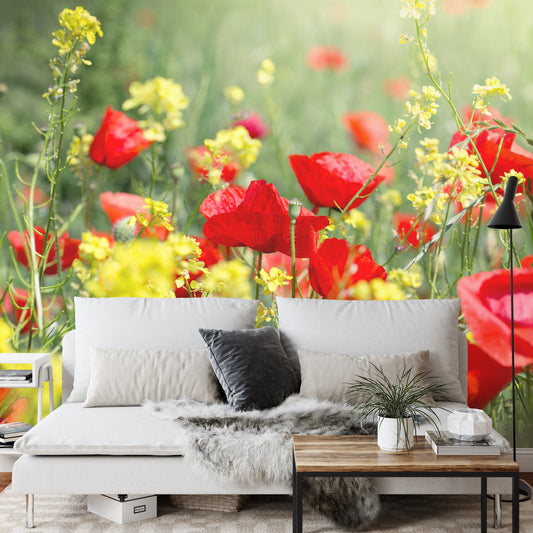 Fototapete Mohnblumen Wiese