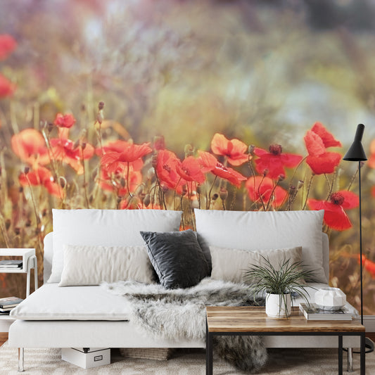 Fototapete Wilde Mohnblumen Auf Der Wiese