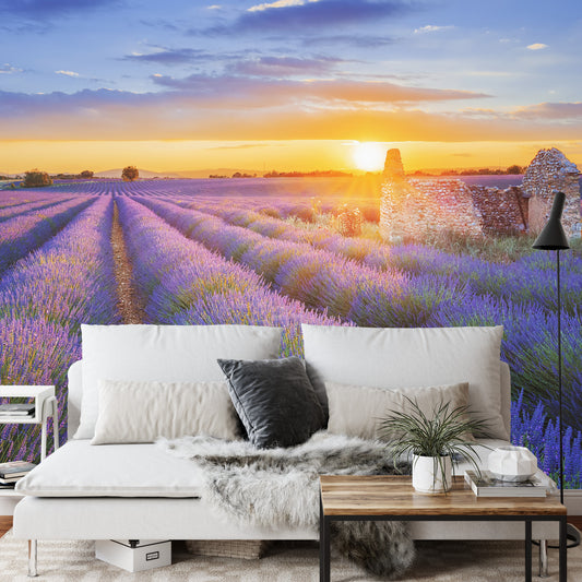 Fototapete Landschaft Feld Lavendel