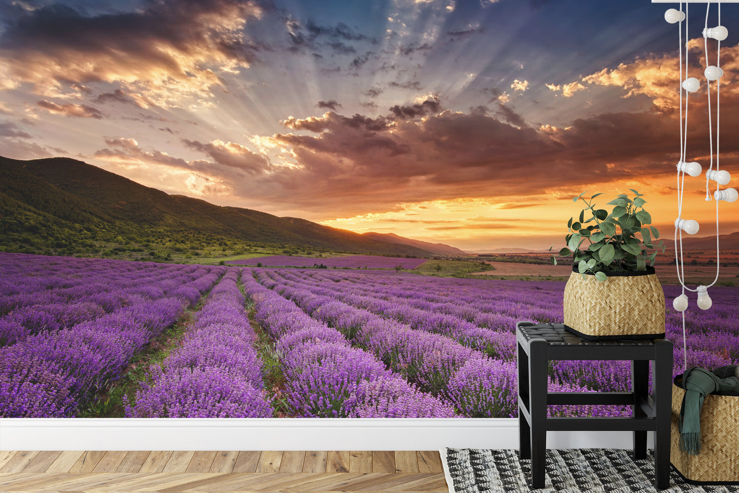 Fototapete Land Feld Lavendel
