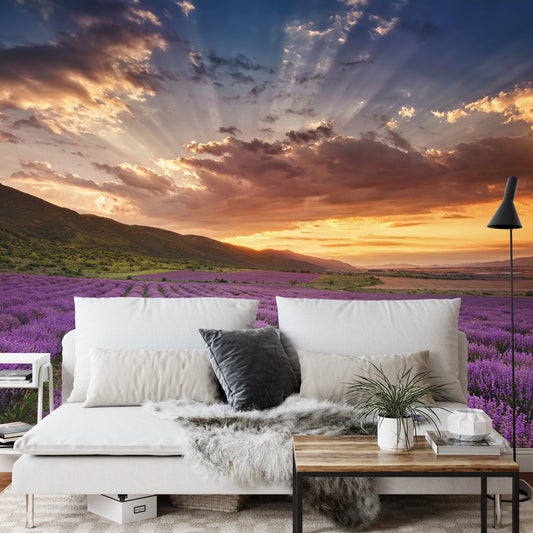 Fototapete Land Feld Lavendel