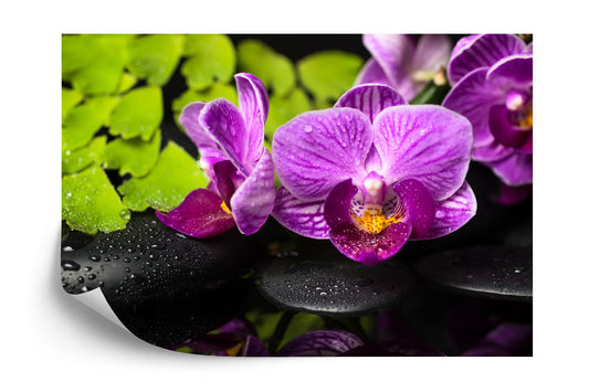 Fototapete Orchidee Spa