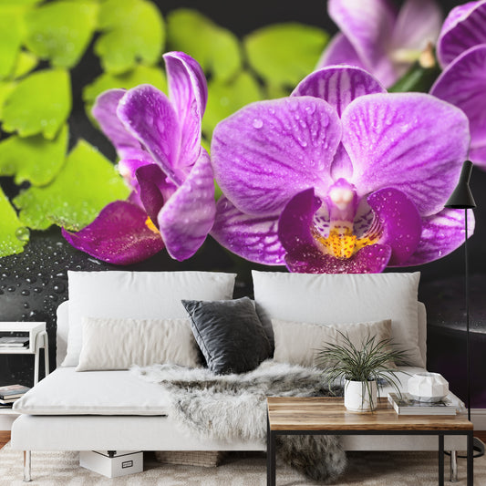 Fototapete Orchidee Spa