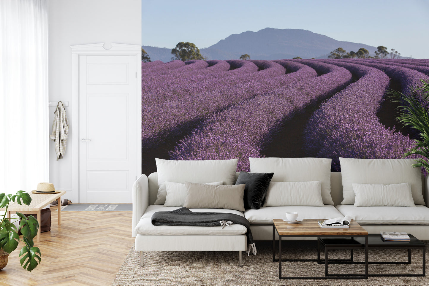Fototapete Land Feld Lavendel