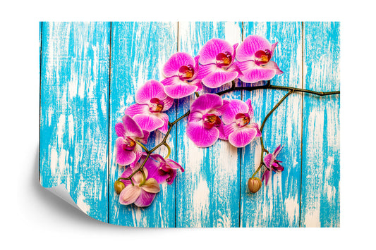 Fototapete Orchideen Auf Einem Hintergrund Aus Brettern
